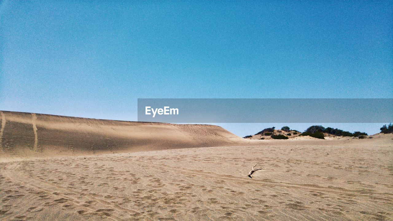 SCENIC VIEW OF SAND DUNE AGAINST CLEAR BLUE SKY