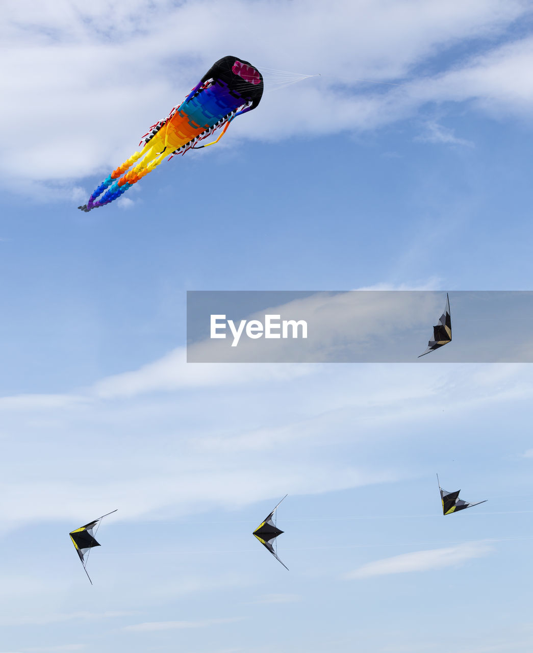 LOW ANGLE VIEW OF BIRDS FLYING