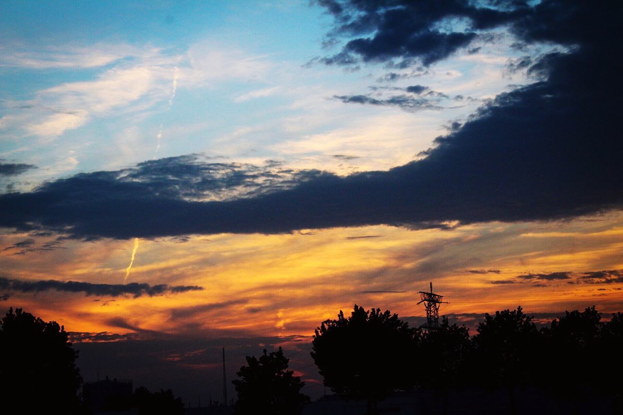 SILHOUETTE TREES AGAINST SKY DURING SUNSET