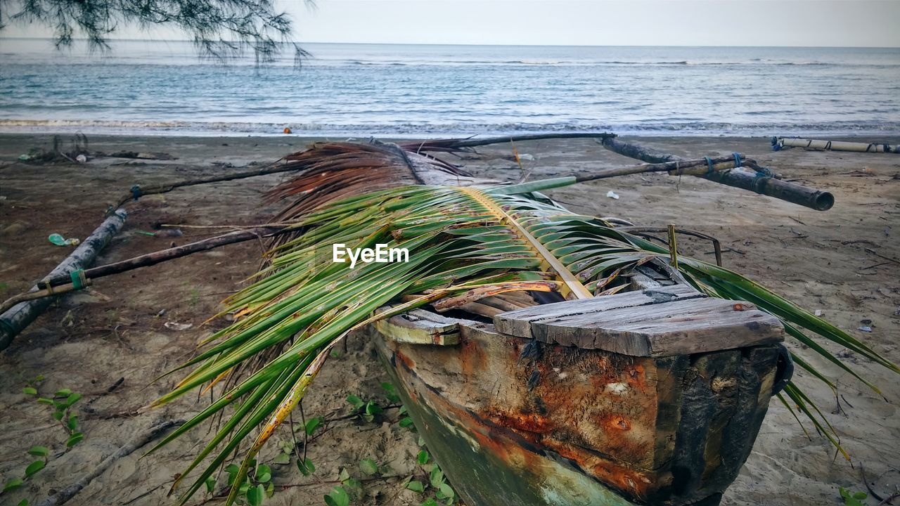 Close-up of palm leaf on weathered outrigger boat at beach