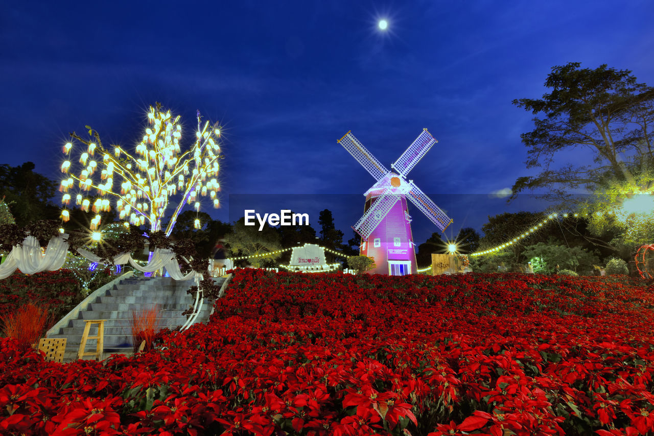 windmill, flower, sky, plant, environmental conservation, nature, renewable energy, wind turbine, alternative energy, power generation, turbine, wind power, night, environment, flowering plant, beauty in nature, architecture, tree, landscape, no people, outdoors, red, agriculture, traditional windmill, rural scene, field, blue, illuminated, land, built structure