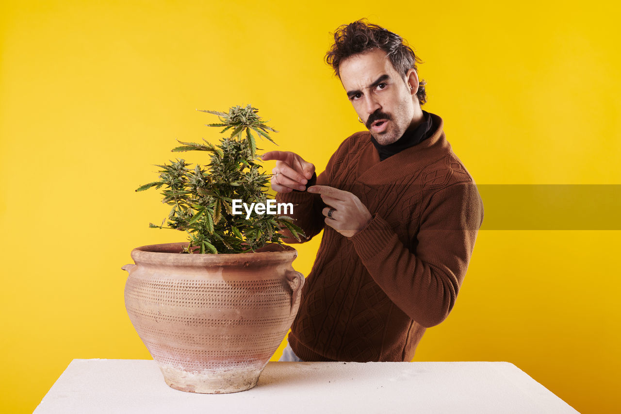 A young man pointing his finger at a cannabis plant on a yellow background