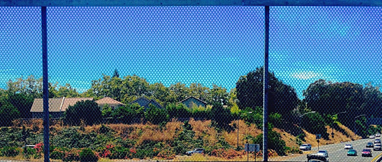 Trees and cars on road seen through fence