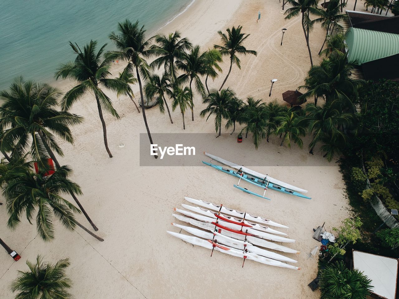 High angle view of palm trees on beach