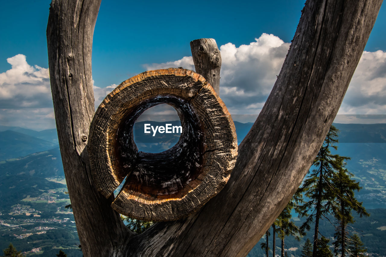 Close-up of tree trunk against sky