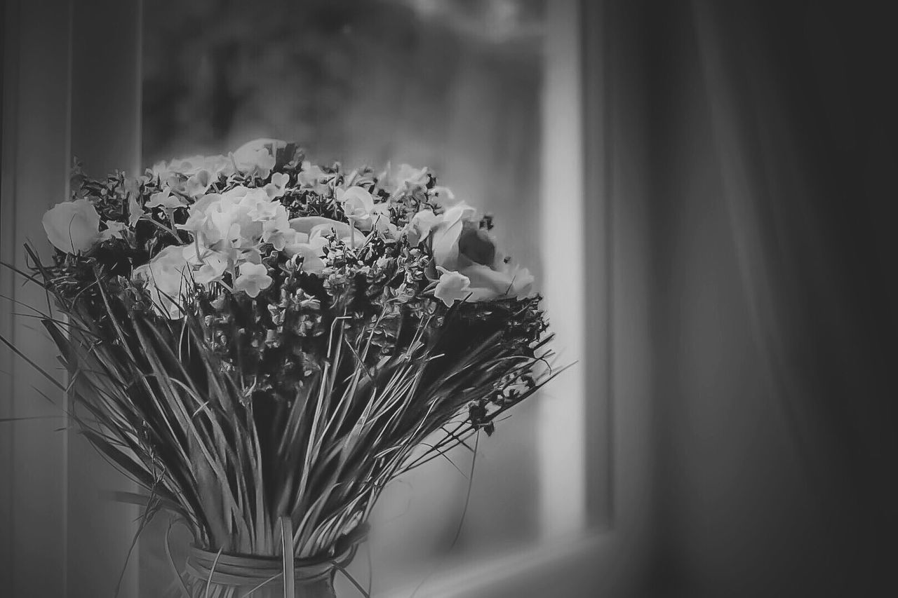 CLOSE-UP OF FLOWERS IN VASE