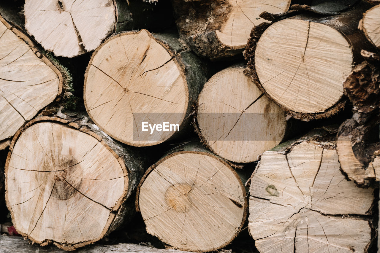 Close-up of wooden logs