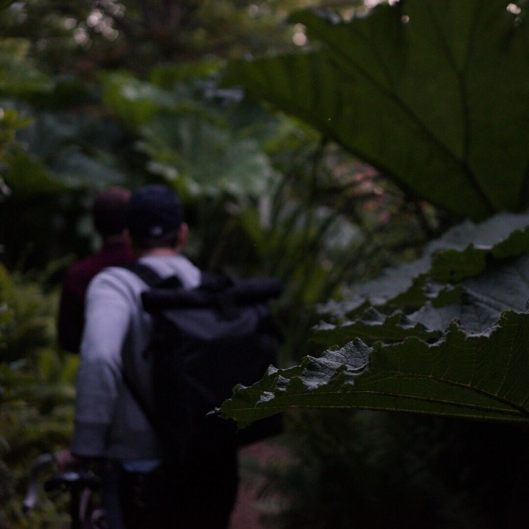 Rear view of friends walking in forest