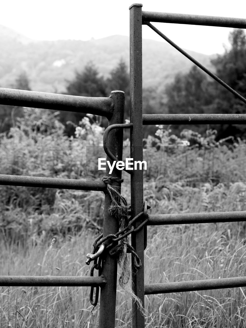 CLOSE-UP VIEW OF BARBED WIRE