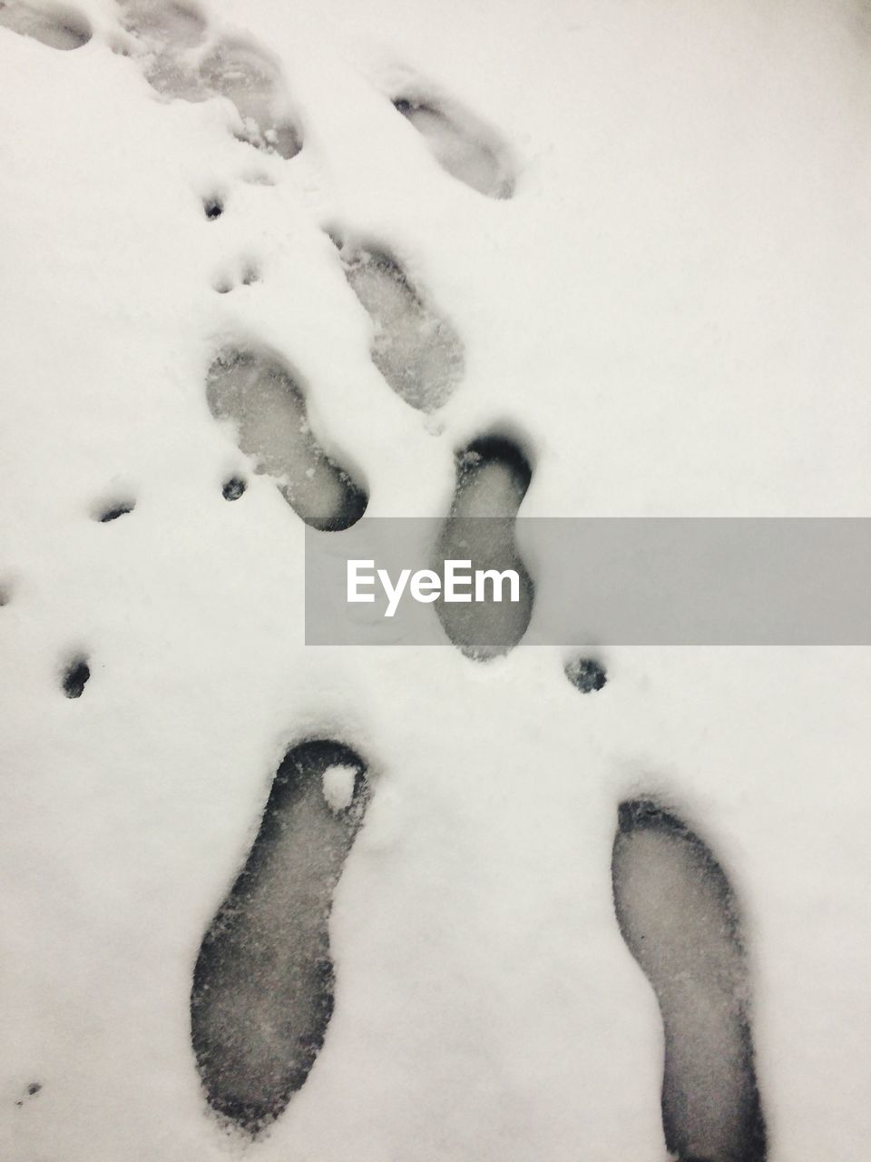 HIGH ANGLE VIEW OF WHITE SNOW ON SNOWY FIELD