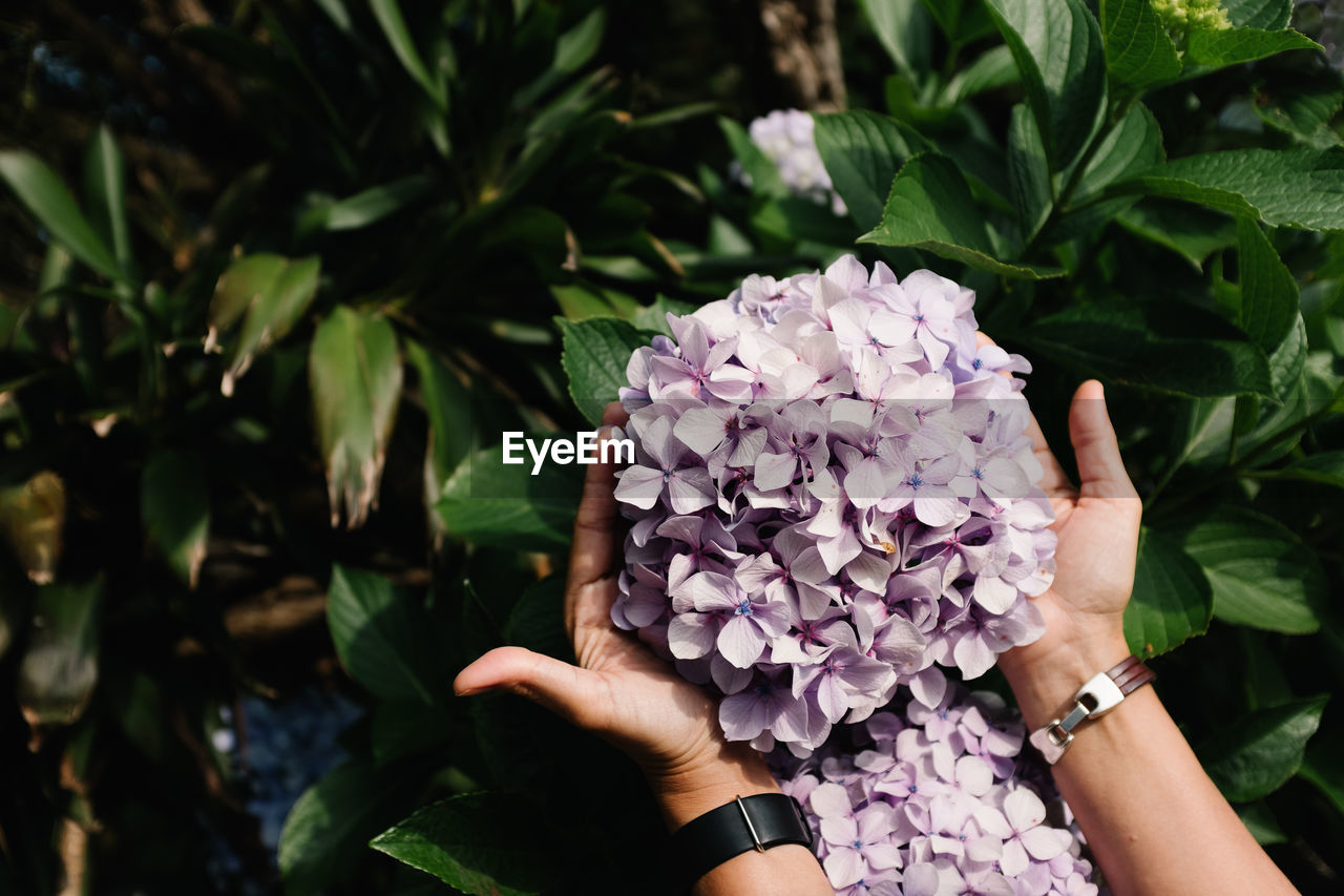 Cropped hands holding flowers