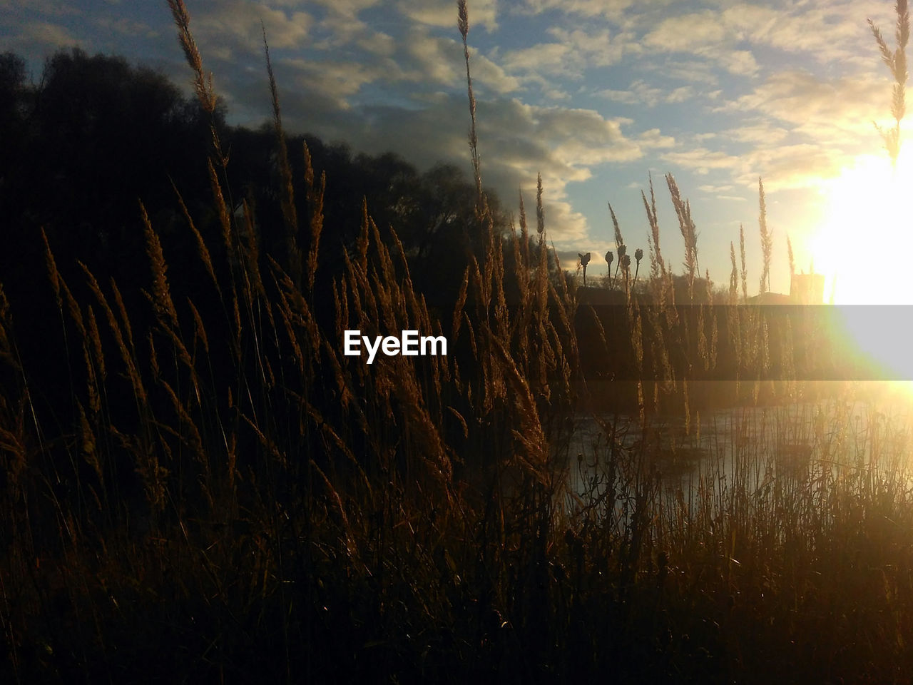 SCENIC VIEW OF LAKE AGAINST SKY AT SUNSET