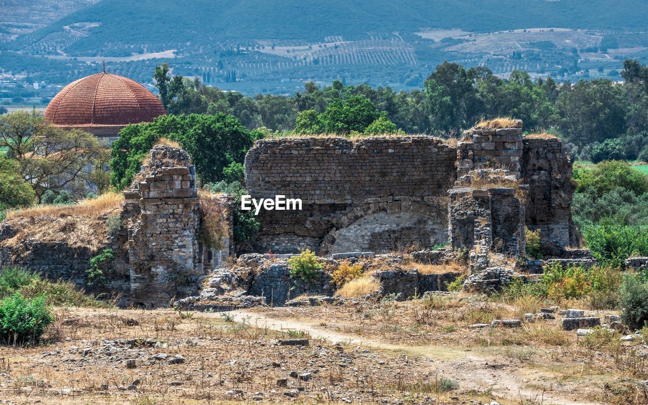 PLANTS IN FRONT OF OLD RUIN