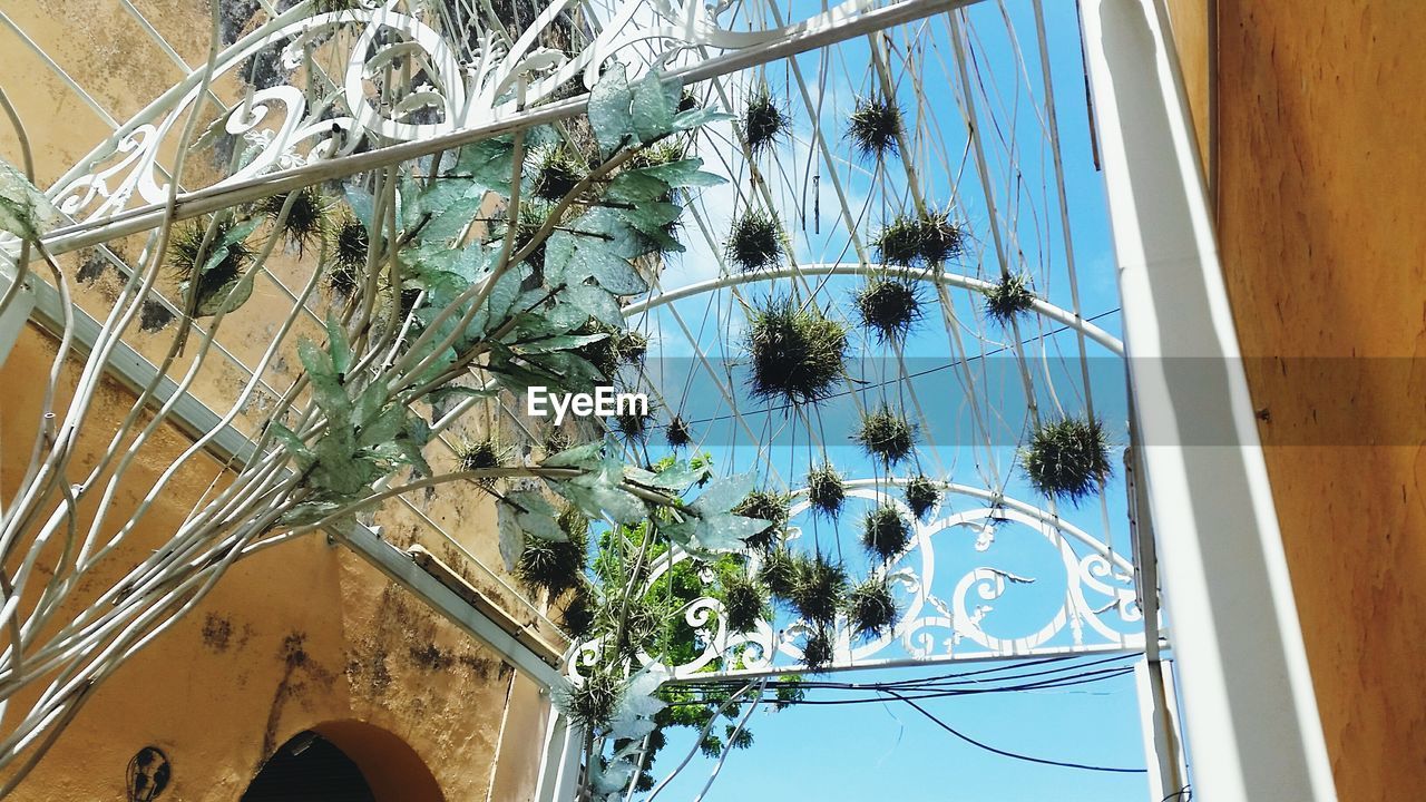 LOW ANGLE VIEW OF GLASS WINDOW WITH REFLECTION