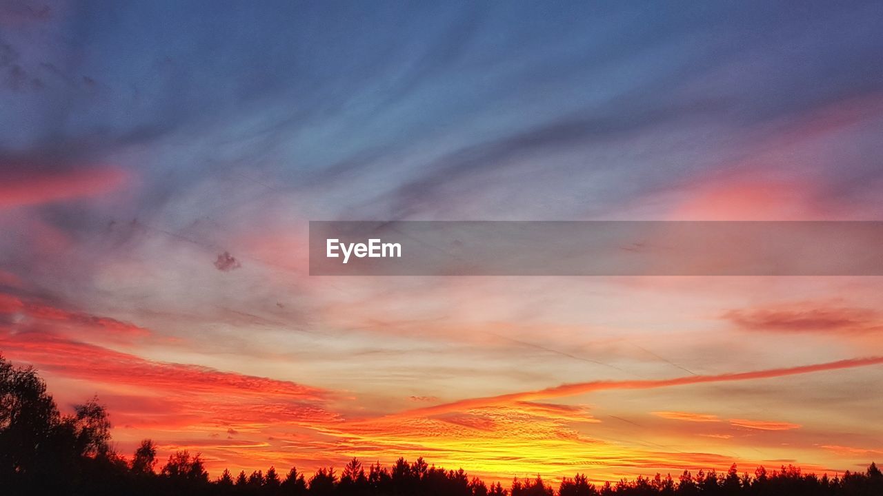 Silhouette trees against dramatic sky during sunset