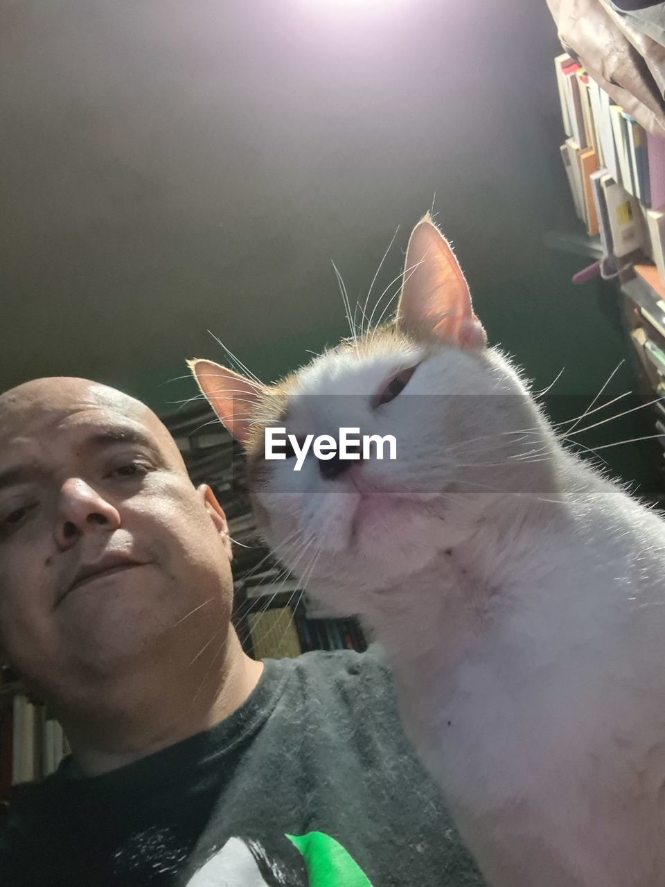 CLOSE-UP PORTRAIT OF A CAT WITH MAN IN MOUTH