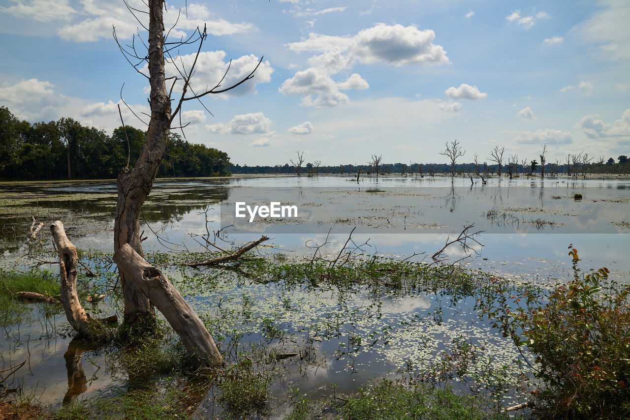SCENIC VIEW OF LAKE