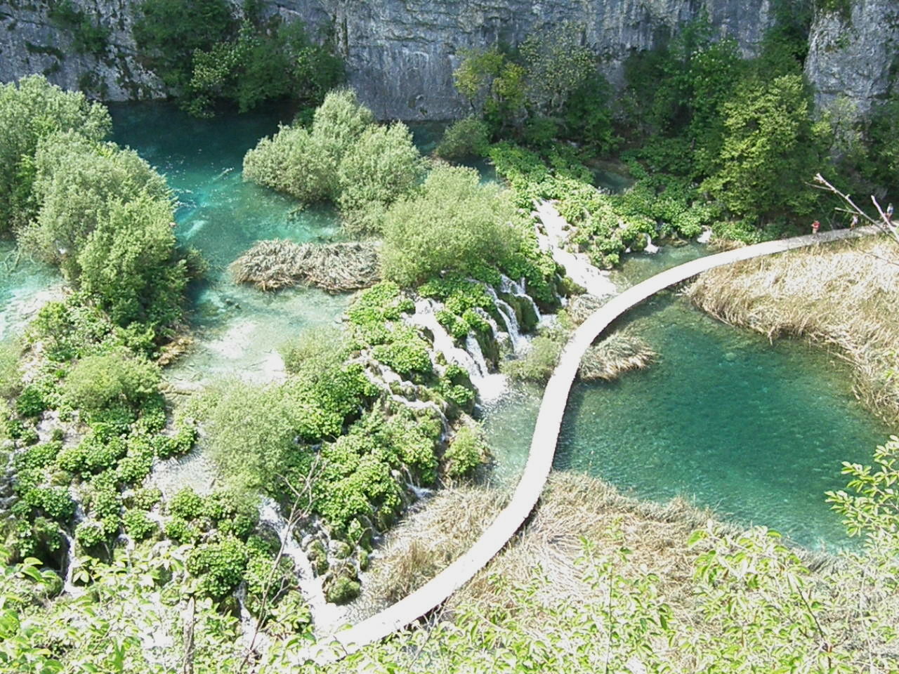 SCENIC VIEW OF RIVER WITH TREES IN BACKGROUND