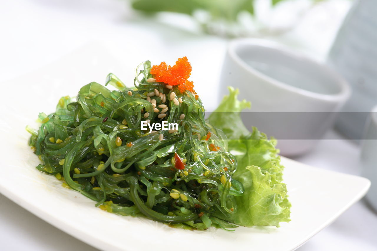 CLOSE-UP OF CHOPPED SALAD IN PLATE