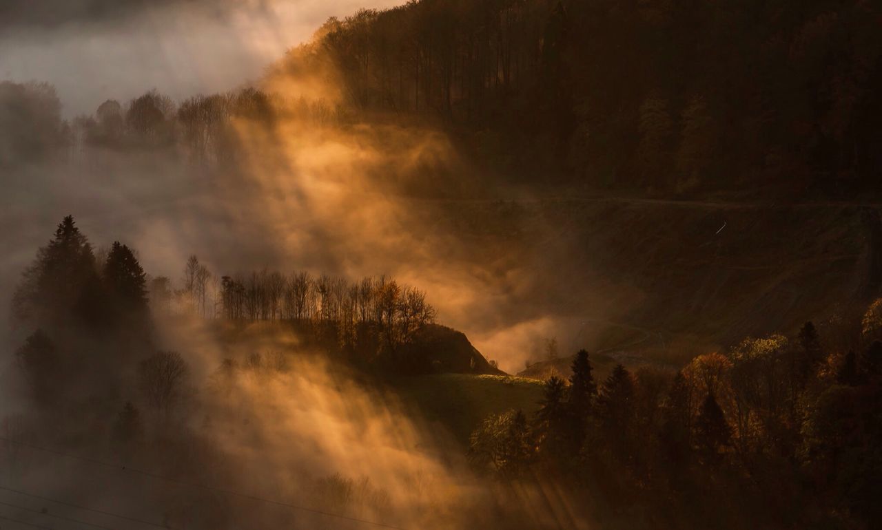 Scenic view of fog covered landscape