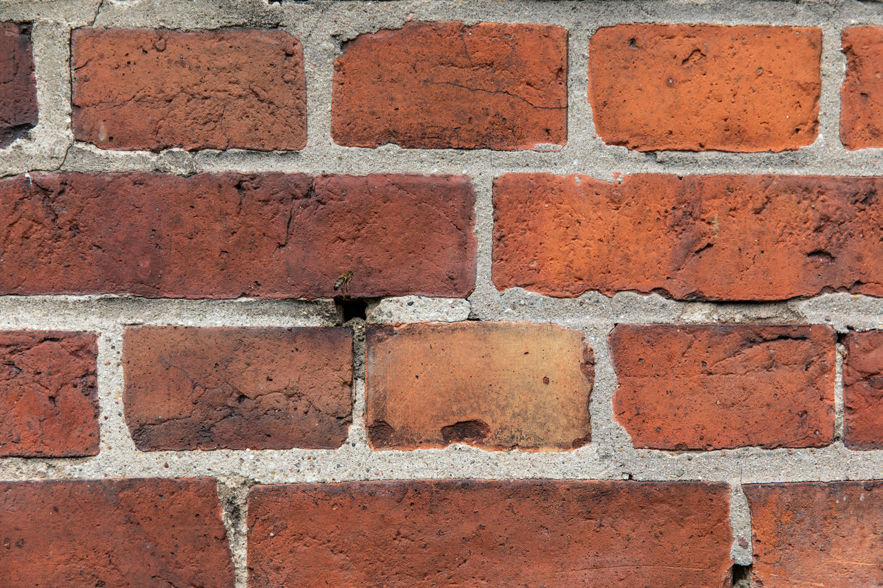 brick, brickwork, brick wall, wall, full frame, backgrounds, wall - building feature, pattern, built structure, architecture, textured, red, no people, brown, close-up, day, floor, rough, in a row