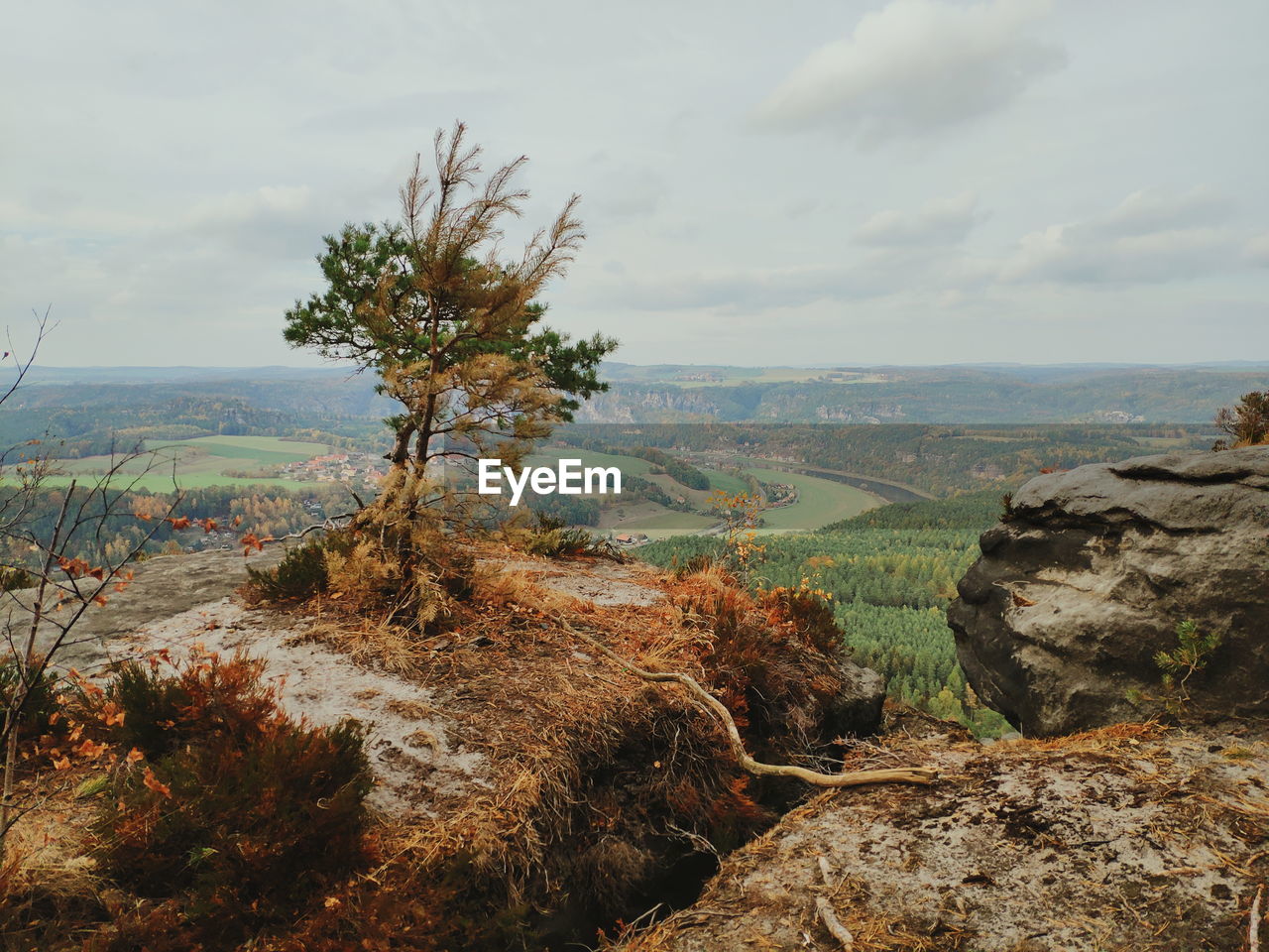 Scenic view of landscape against sky