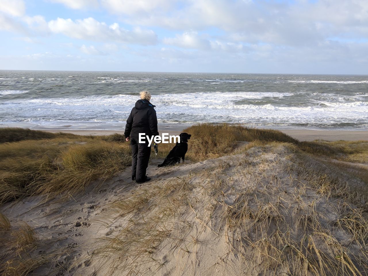 MAN WALKING WITH DOG ON BEACH