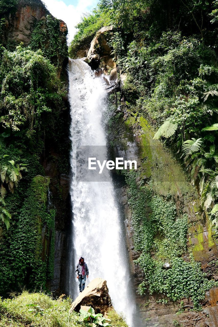 Man standing on rock against scenic waterfall in forest