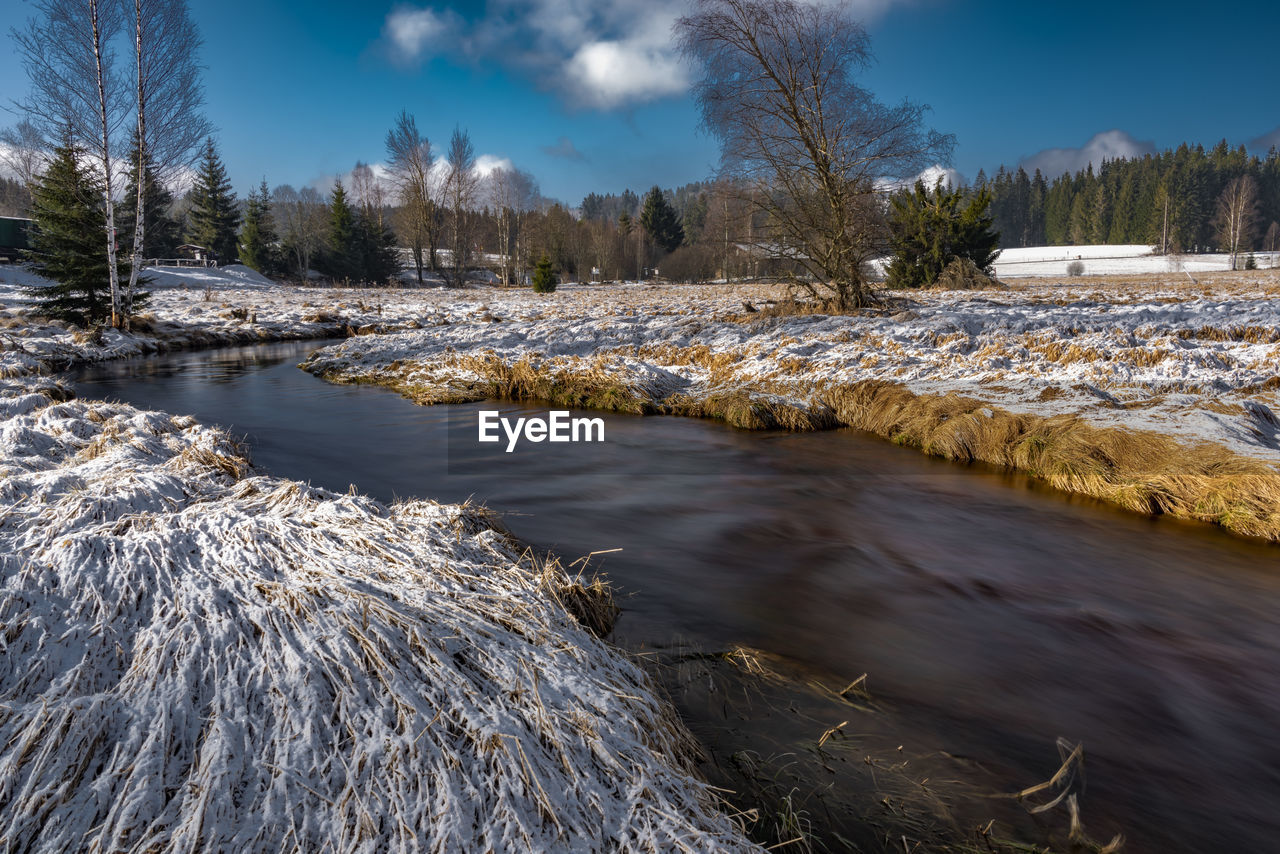SCENIC VIEW OF RIVER AMIDST TREES DURING WINTER