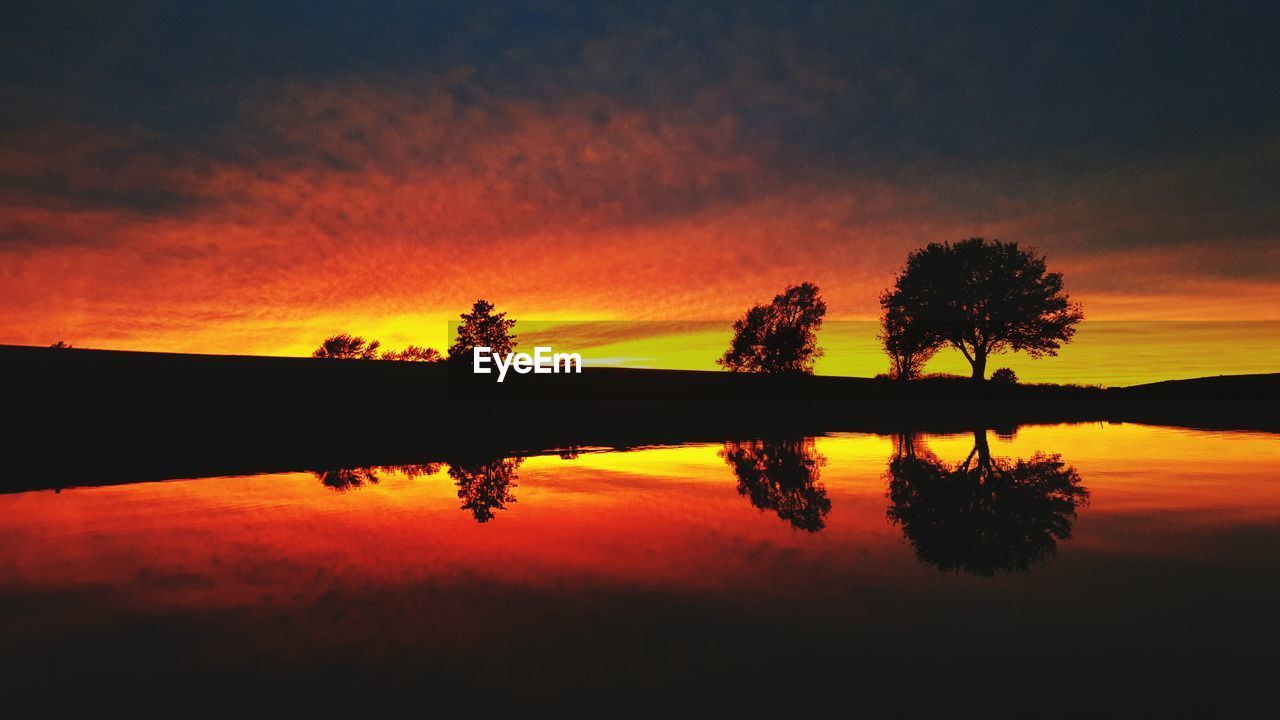 Silhouette of trees at sunset