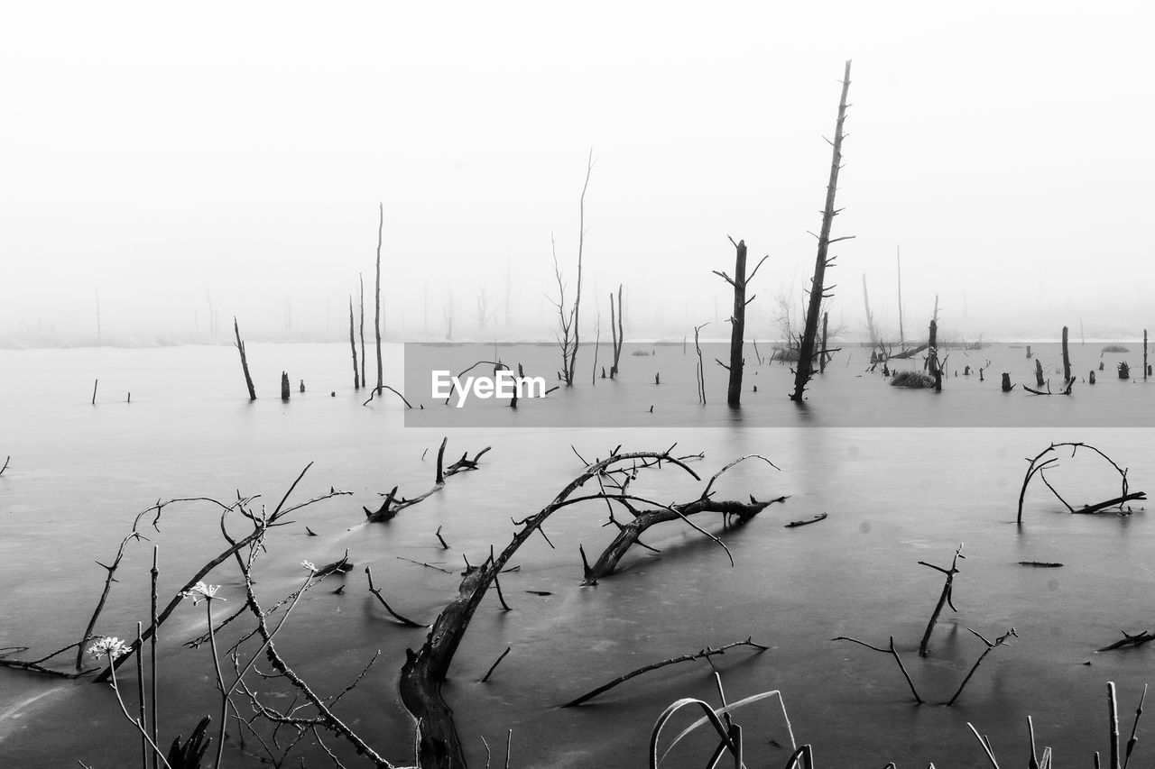 Scenic view of lake against sky during winter