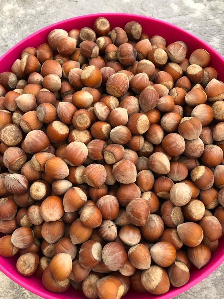 food and drink, food, produce, large group of objects, vegetable, freshness, healthy eating, wellbeing, abundance, bowl, nut, high angle view, nut - food, no people, still life, directly above, close-up, nuts & seeds, container, brown, indoors