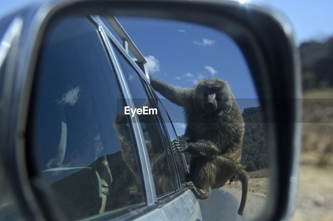 CLOSE-UP OF TIRE AGAINST BLUE SKY SEEN FROM CAR