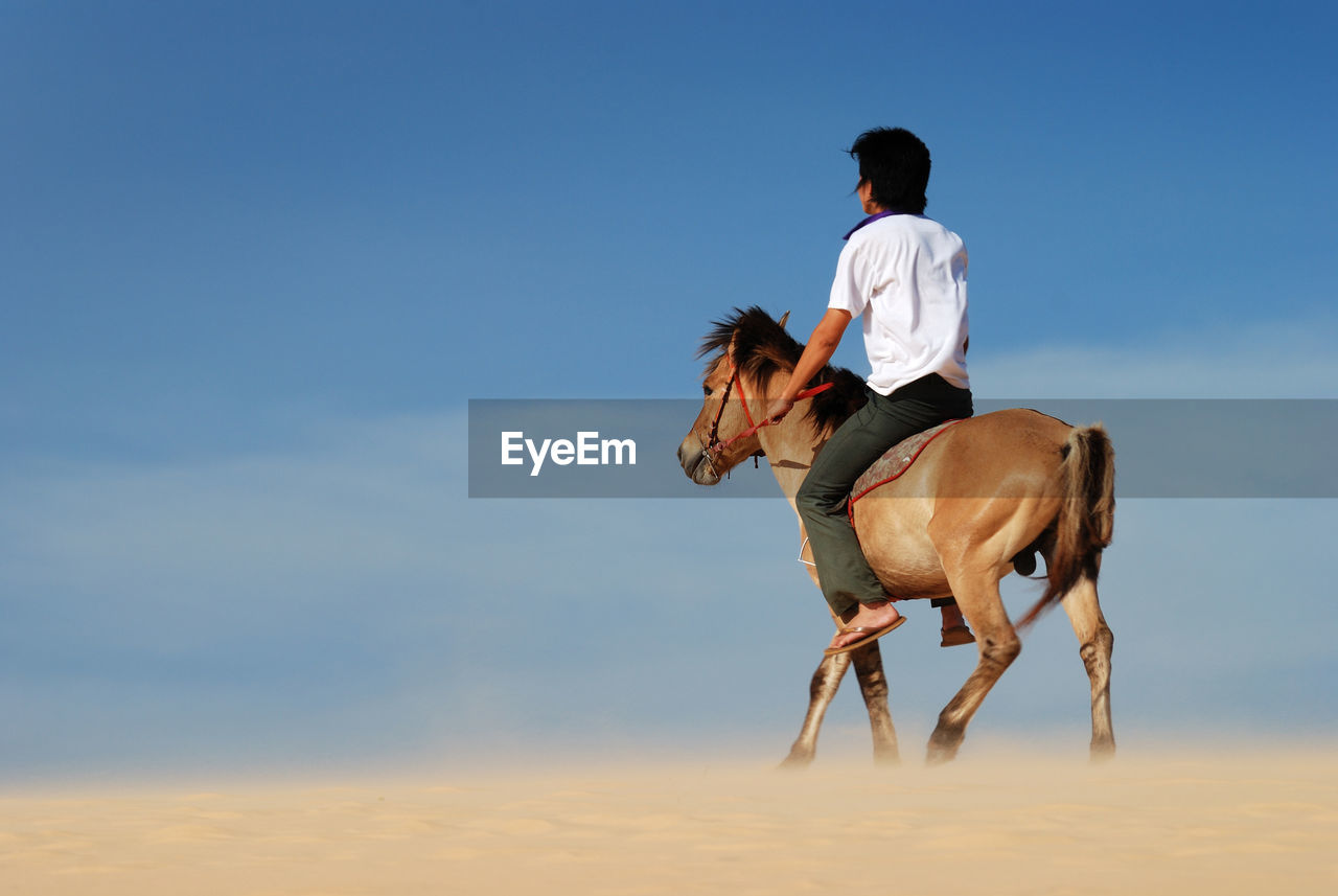 Rear view of a man riding horse on beach