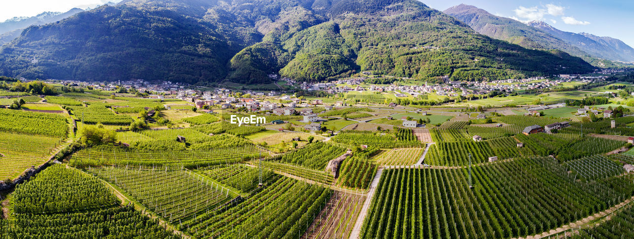 SCENIC VIEW OF FARM