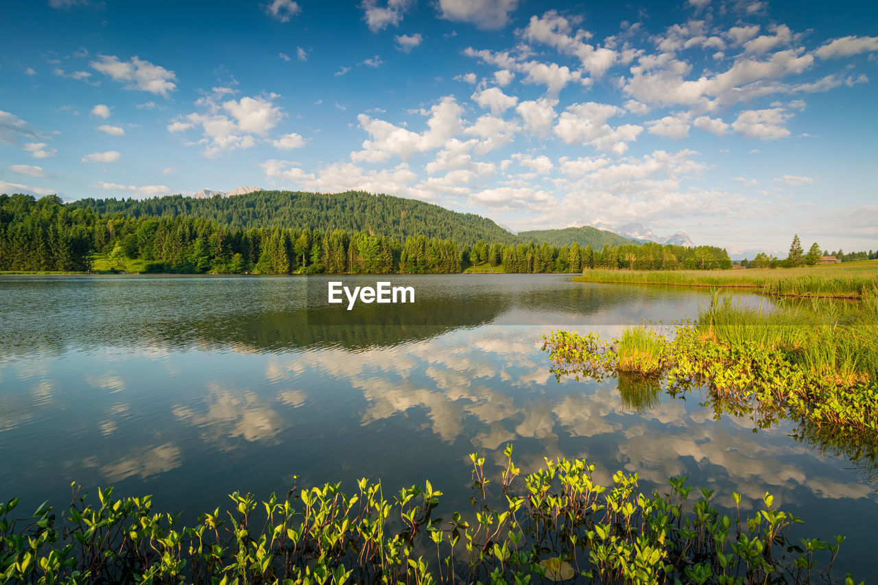 SCENIC VIEW OF LAKE WITH TREES REFLECTION AGAINST SKY