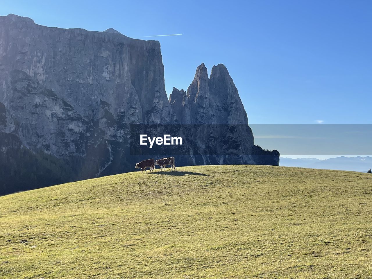 Rock formations on field against sky