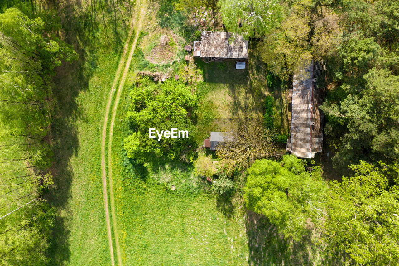high angle view of trees on field