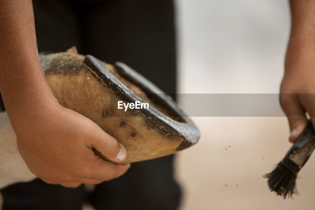 A close-up photo of a horse's hoof in his hand during cleaning