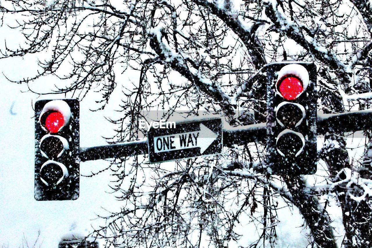 Information sign and stoplight against bare snowcovered trees