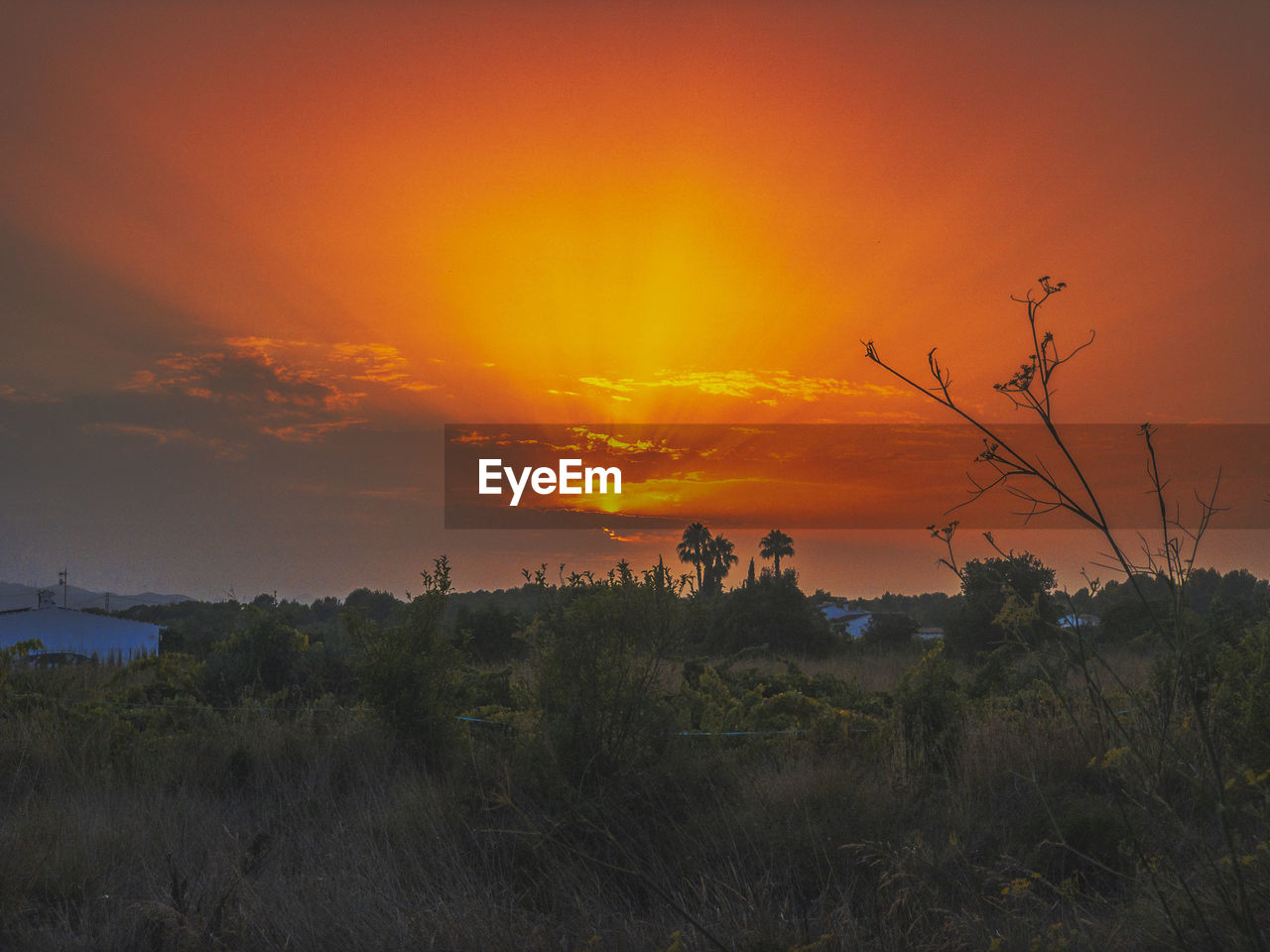 Scenic view of field against orange sky