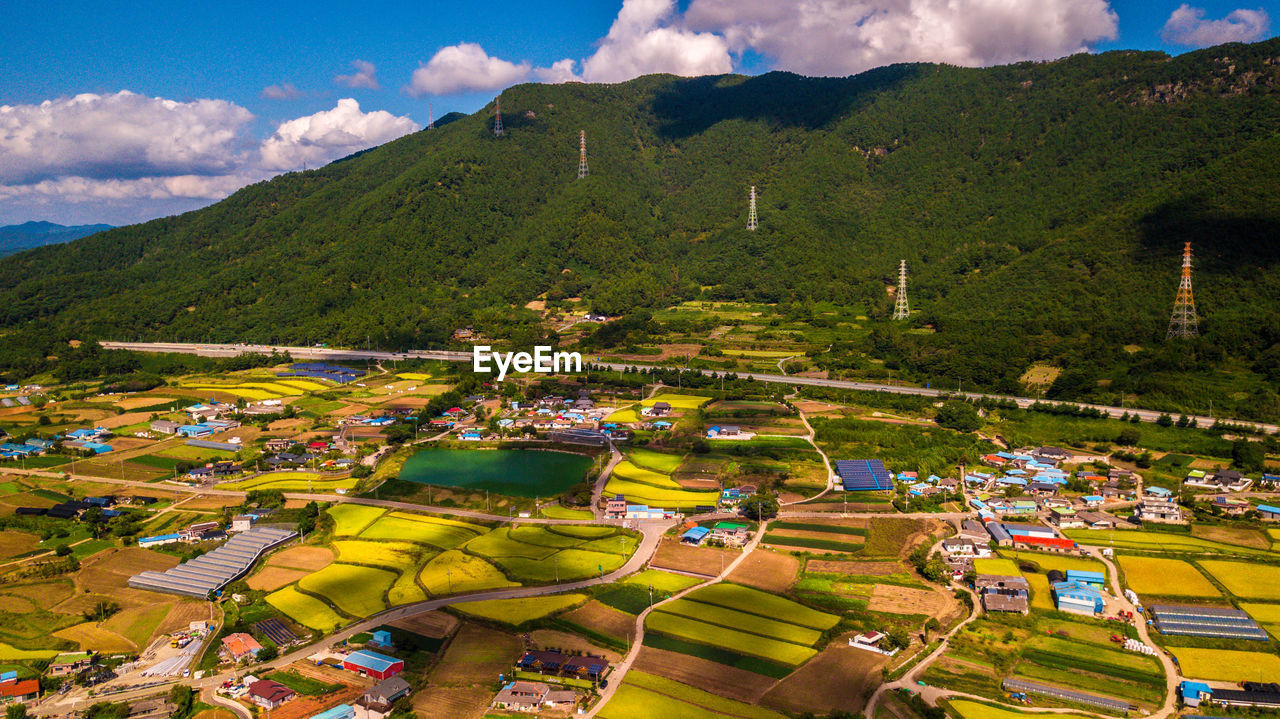 HIGH ANGLE VIEW OF TREES ON LANDSCAPE