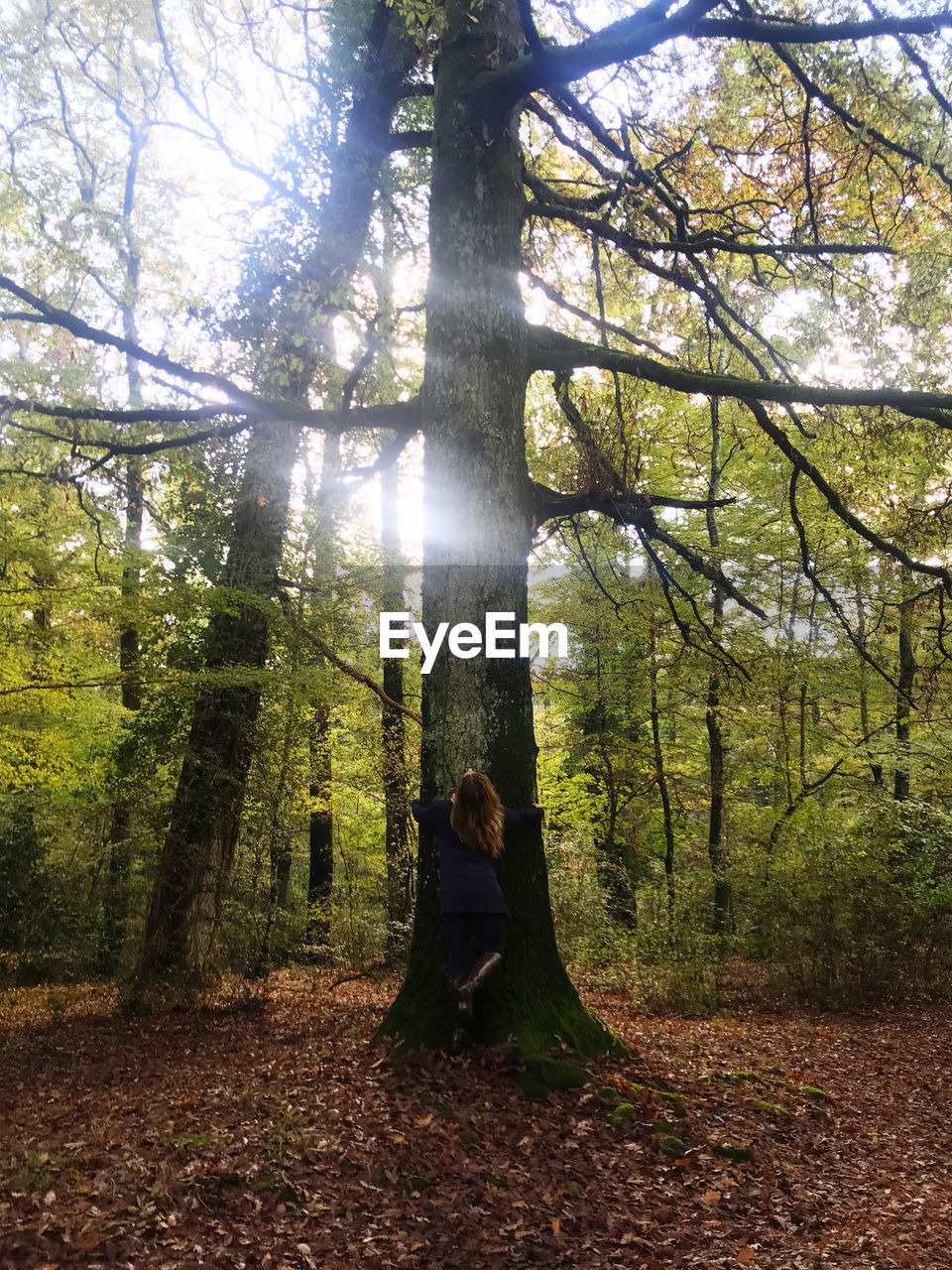 WOMAN IN PARK DURING AUTUMN