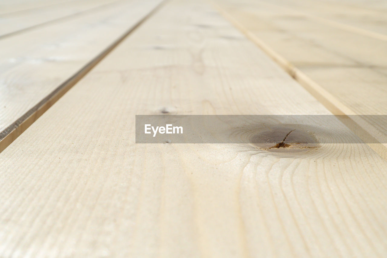 HIGH ANGLE VIEW OF INSECT ON WOOD