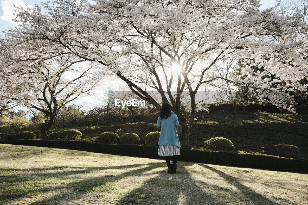 REAR VIEW OF WOMAN STANDING ON FOOTPATH BY TREES