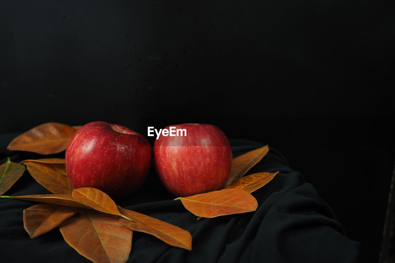 CLOSE-UP OF APPLES IN BLACK BACKGROUND