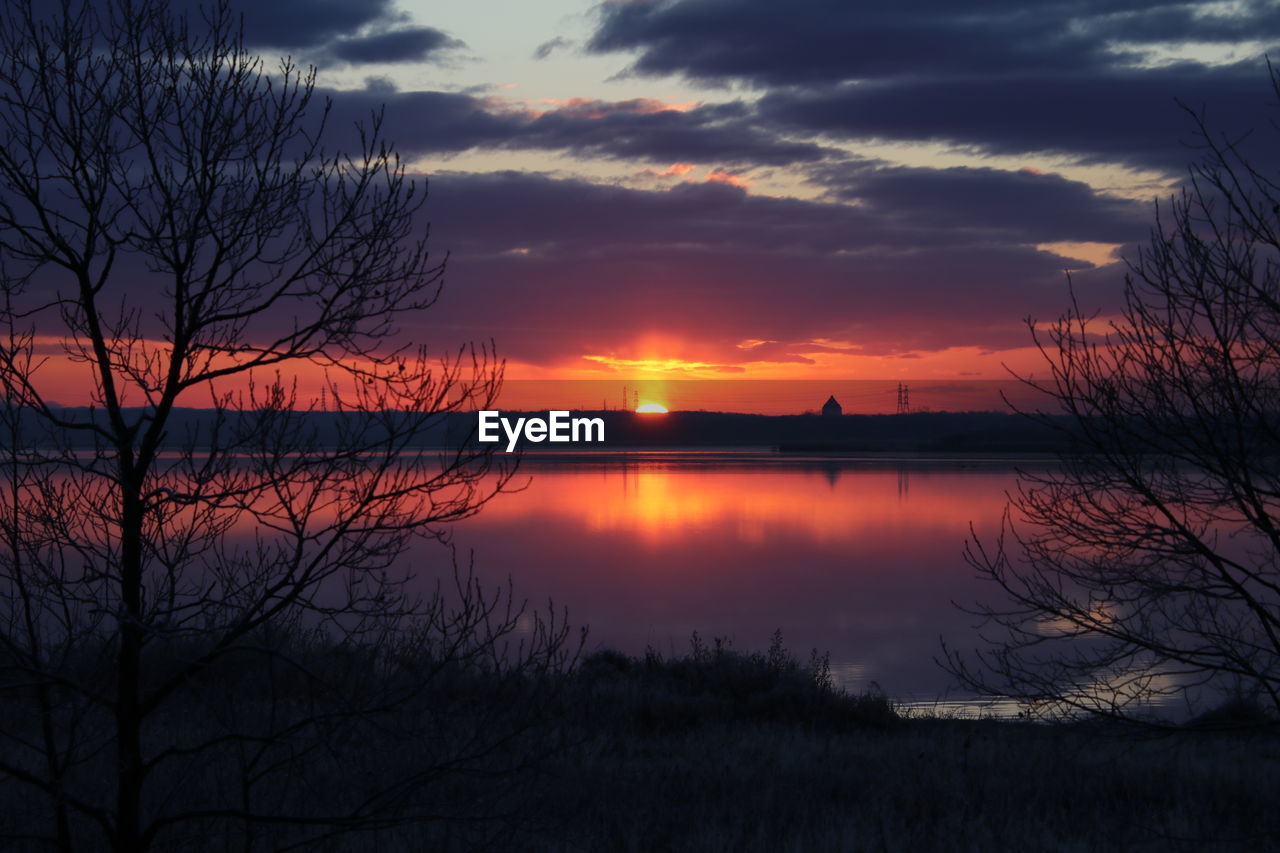 Silhouette of bare trees at sunset