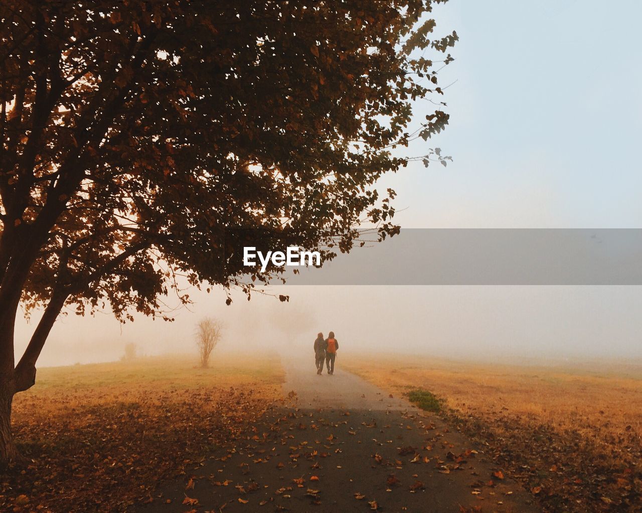 Rear view of people walking on pathway amidst field during foggy weather