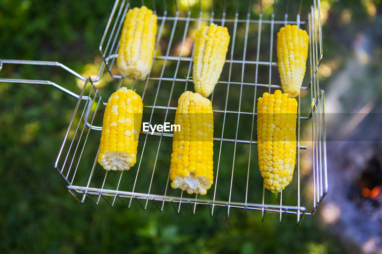 Delicious sweet corn is grilled on the grill. outdoor recreation