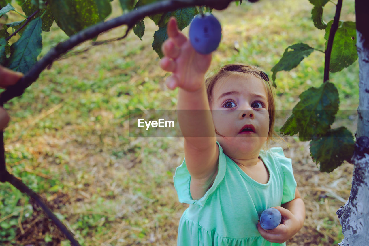 Baby girl picking fruit from tree on land